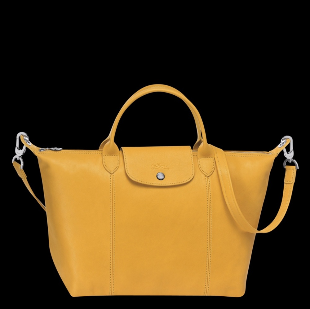 Sold-Long Champ Le Pliage Cuir